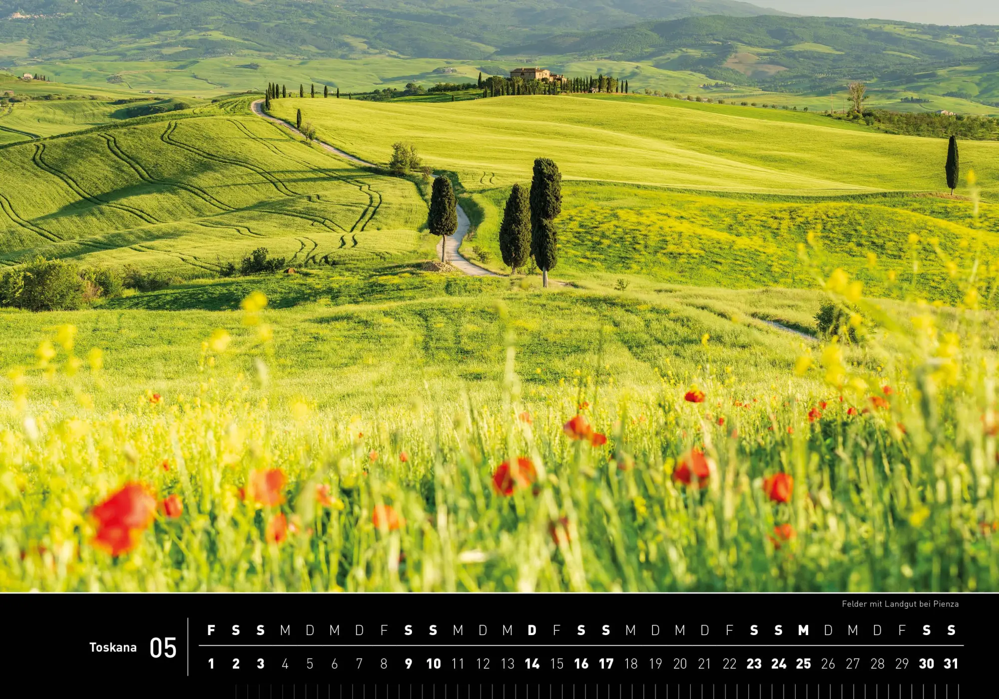 Bild: 9783968556345 | Toskana Premiumkalender 2026 | Robert Haasmann | Kalender | 14 S.