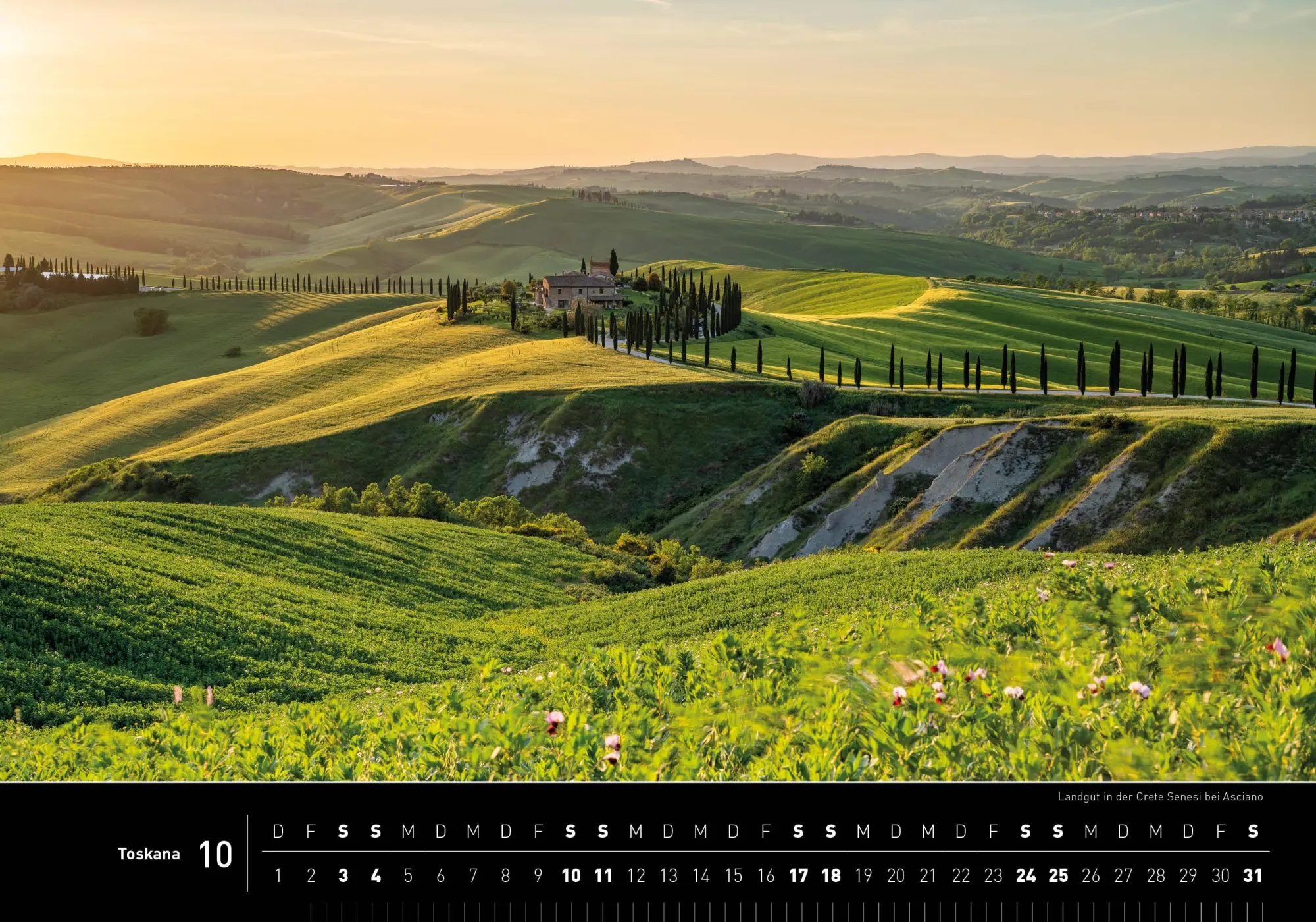 Bild: 9783968556345 | Toskana Premiumkalender 2026 | Robert Haasmann | Kalender | 14 S.