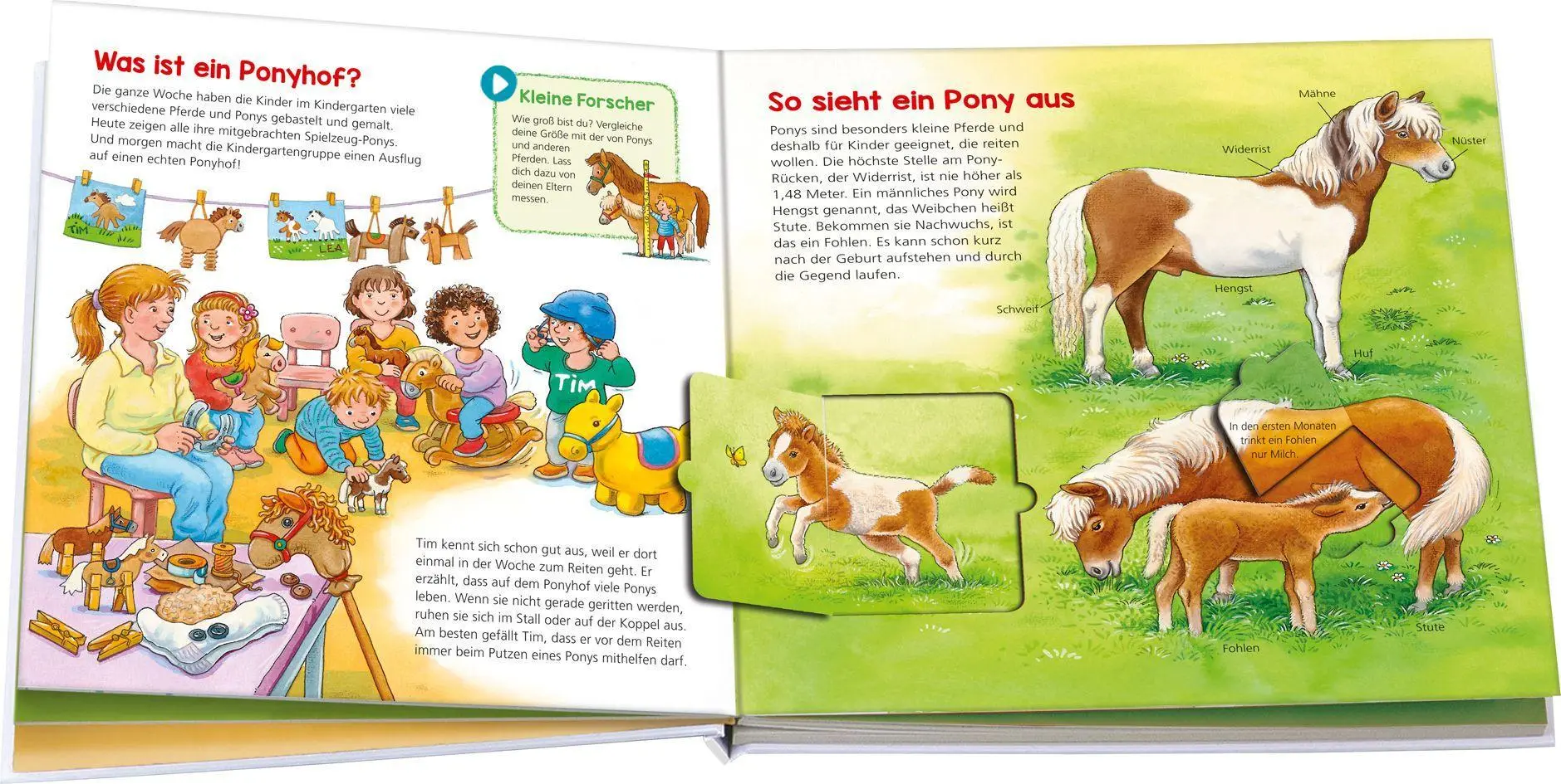 Bild: 9783788676445 | BOOKii® WAS IST WAS Kindergarten Komm mit auf den Ponyhof! | Buch