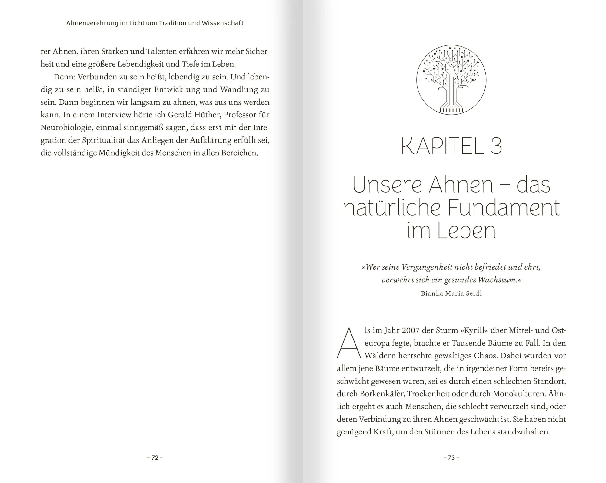 Bild: 9783863746445 | Schamanische Ahnenarbeit | Bianka Maria Seidl | Taschenbuch | 206 S.