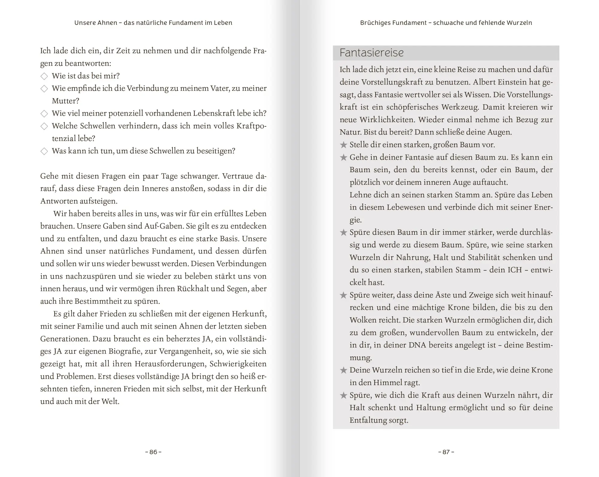 Bild: 9783863746445 | Schamanische Ahnenarbeit | Bianka Maria Seidl | Taschenbuch | 206 S.