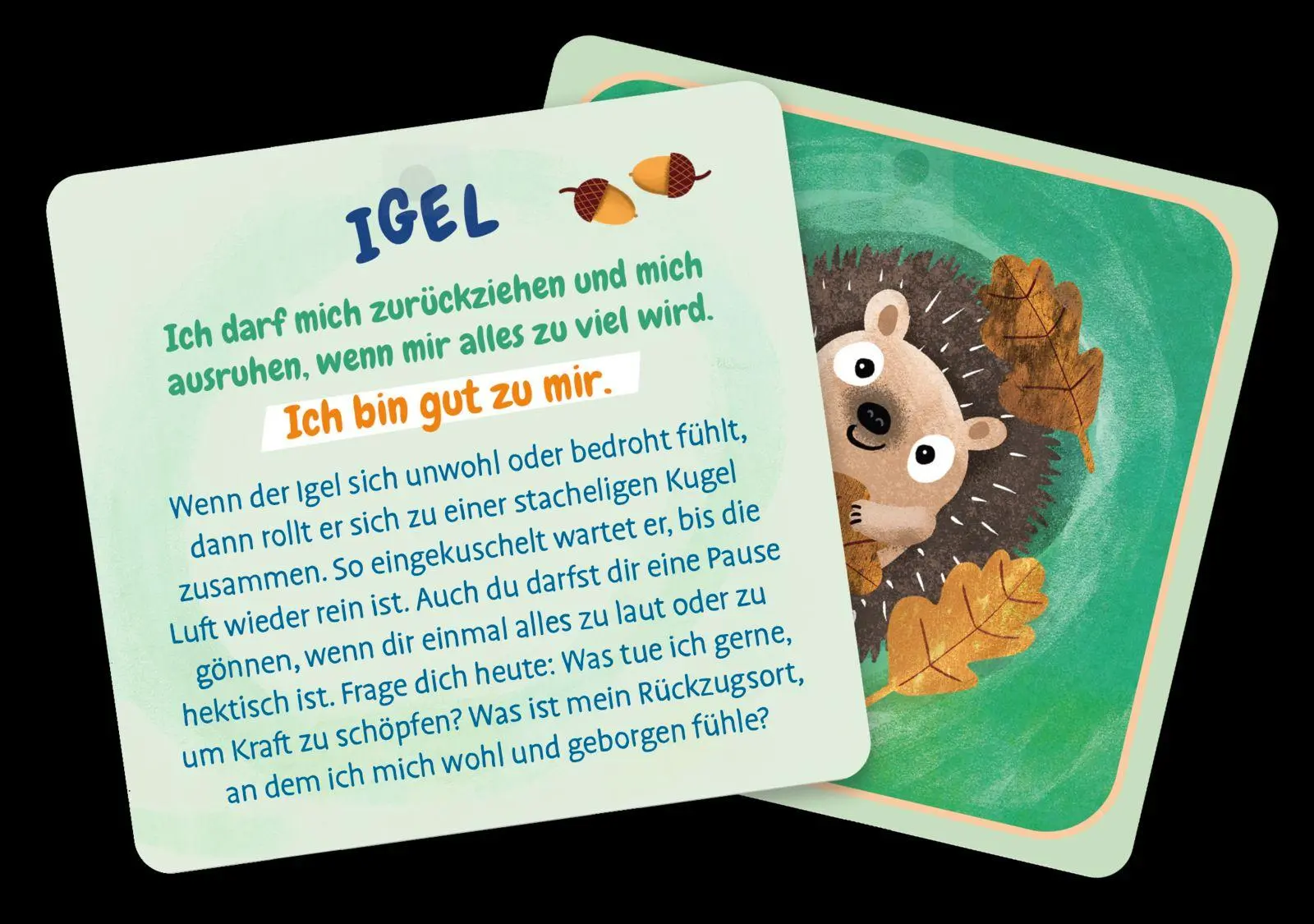 Bild: 4260308346545 | Meine Mutmach-Tiere | Pattloch Verlag | Box | Kartensets für Kinder