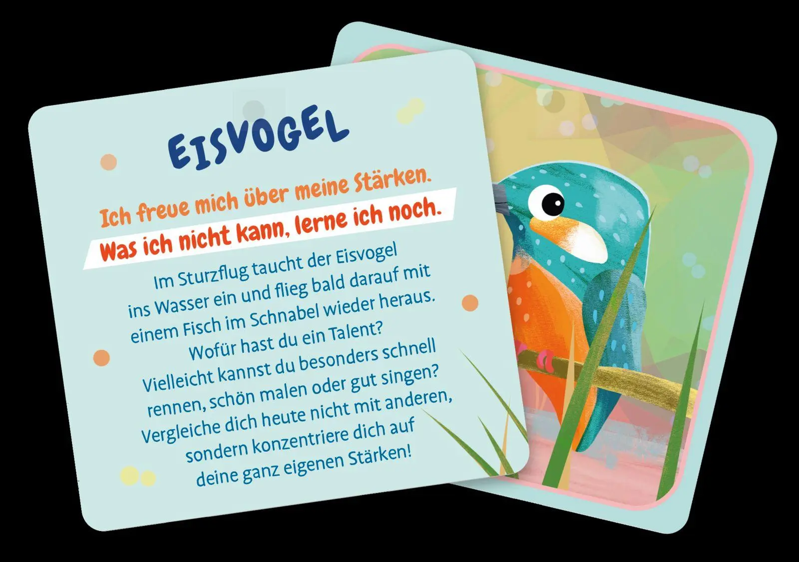 Bild: 4260308346545 | Meine Mutmach-Tiere | Pattloch Verlag | Box | Kartensets für Kinder