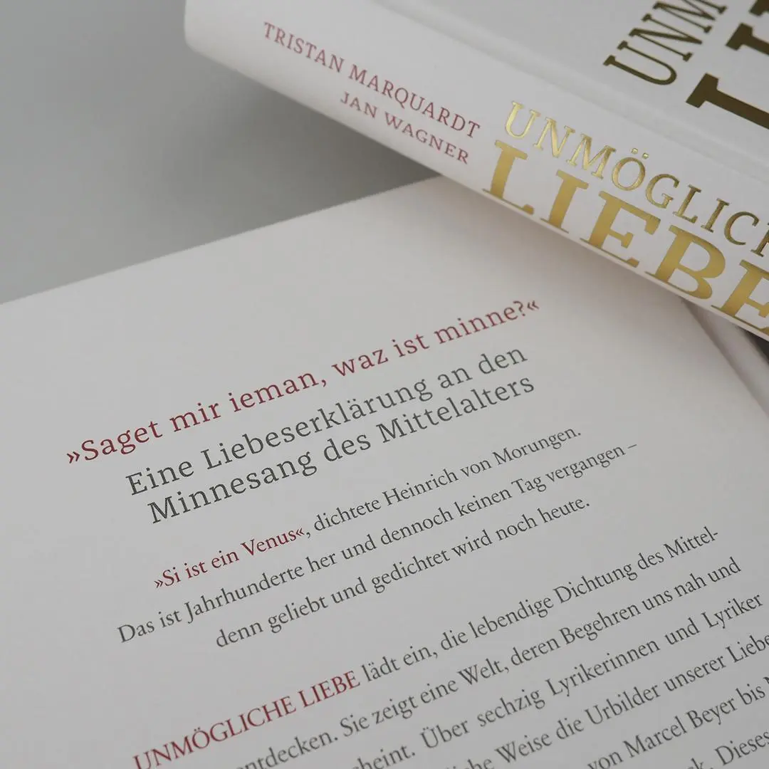 Bild: 9783446256545 | Unmögliche Liebe | Jan Wagner (u. a.) | Buch | 304 S. | Deutsch | 2017