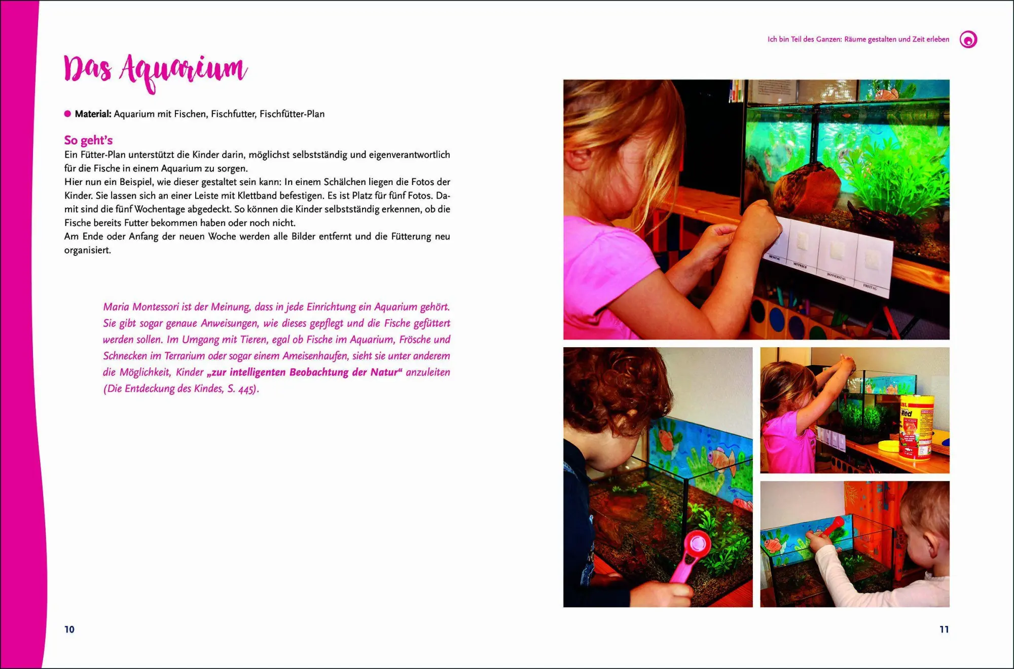 Bild: 9783451036545 | Freispiel-Impulse: Montessori | Jutta Bläsius | Taschenbuch | 64 S.