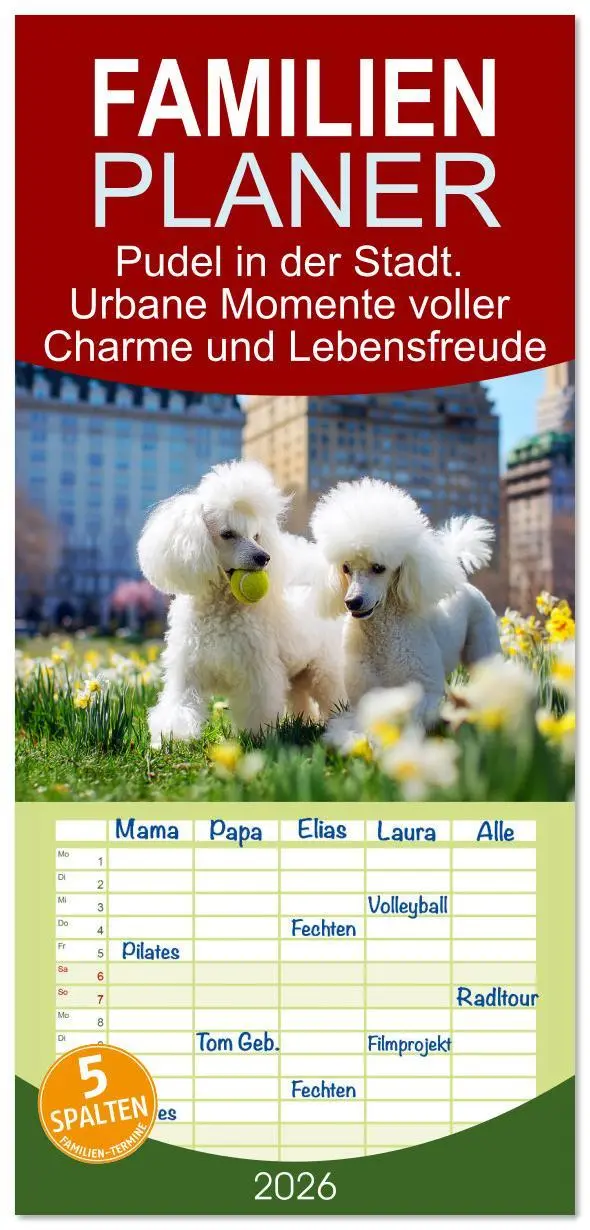 Cover: 9783516616545 | Familienplaner 2026 - Pudel in der Stadt. Urbane Momente voller...