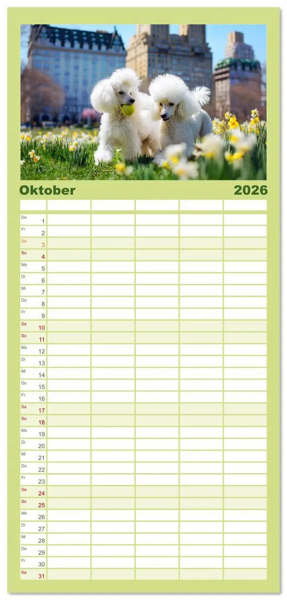 Bild: 9783516616545 | Familienplaner 2026 - Pudel in der Stadt. Urbane Momente voller...
