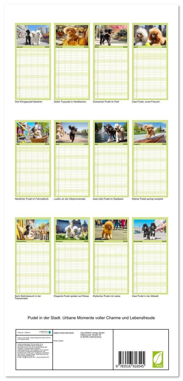 Bild: 9783516616545 | Familienplaner 2026 - Pudel in der Stadt. Urbane Momente voller...