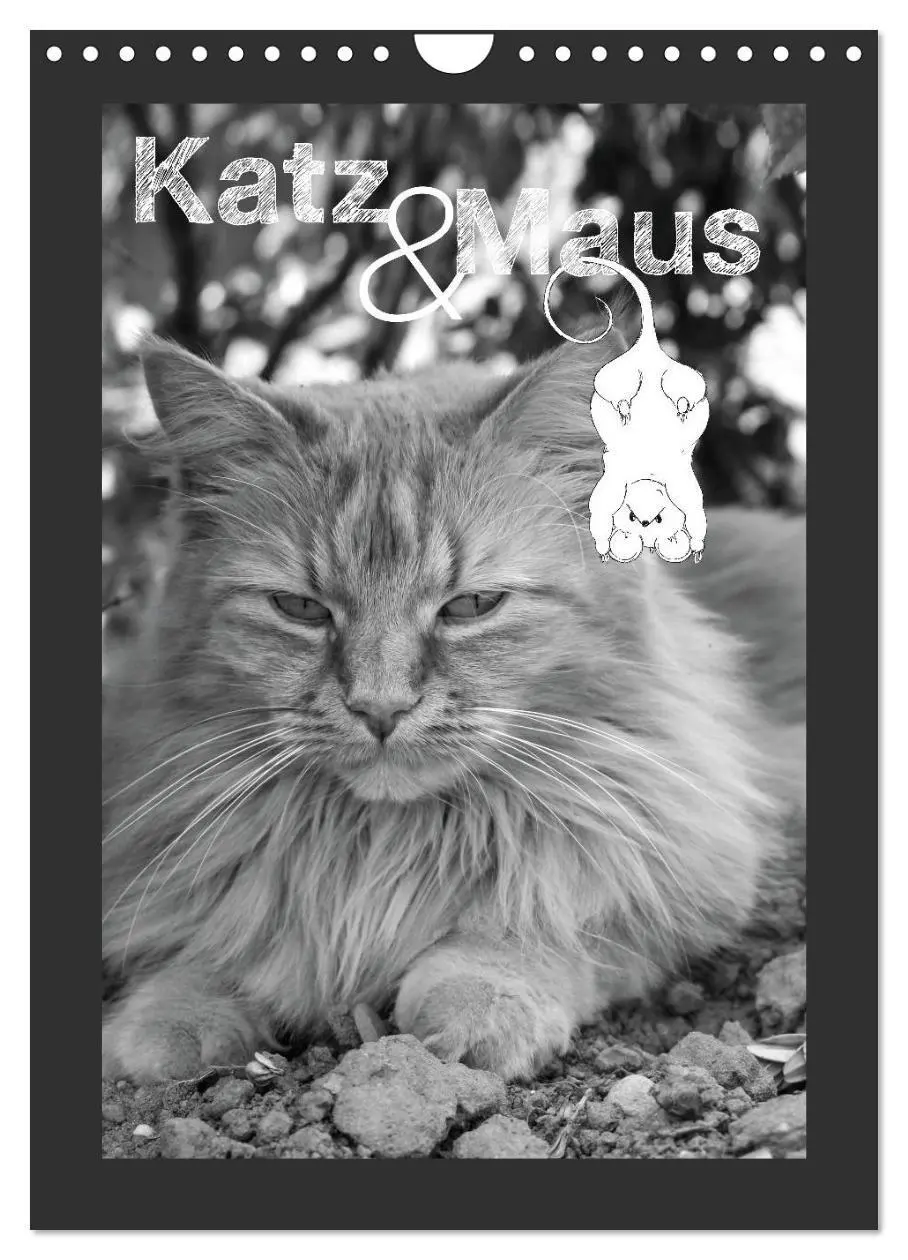 Cover: 9783594146545 | Katz &amp; Maus (Wandkalender 2027 DIN A4 hoch), CALVENDO Monatskalender