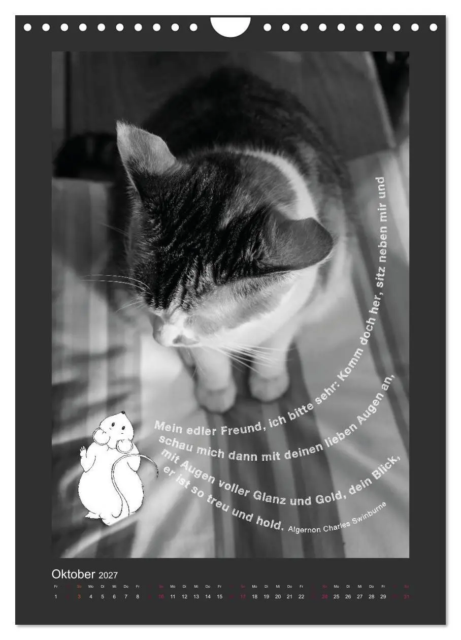 Bild: 9783594146545 | Katz &amp; Maus (Wandkalender 2027 DIN A4 hoch), CALVENDO Monatskalender