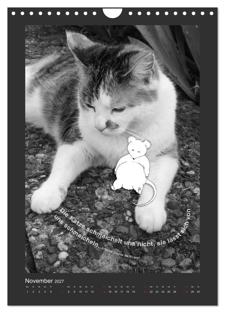 Bild: 9783594146545 | Katz &amp; Maus (Wandkalender 2027 DIN A4 hoch), CALVENDO Monatskalender