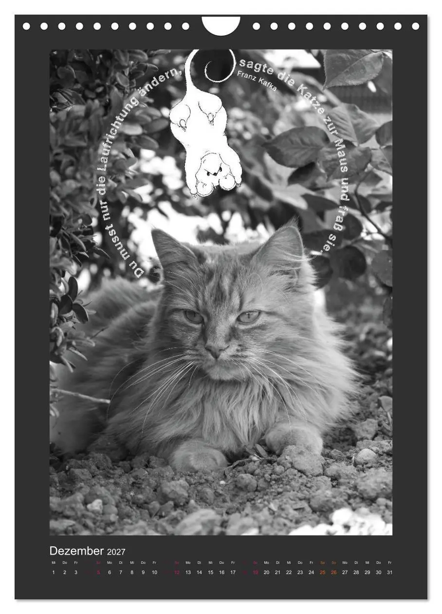 Bild: 9783594146545 | Katz &amp; Maus (Wandkalender 2027 DIN A4 hoch), CALVENDO Monatskalender