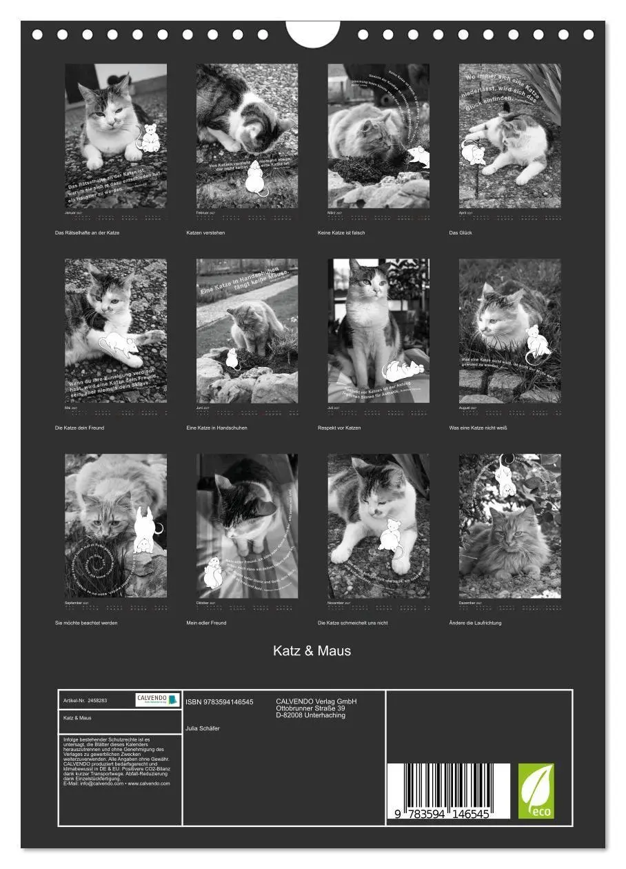 Bild: 9783594146545 | Katz &amp; Maus (Wandkalender 2027 DIN A4 hoch), CALVENDO Monatskalender