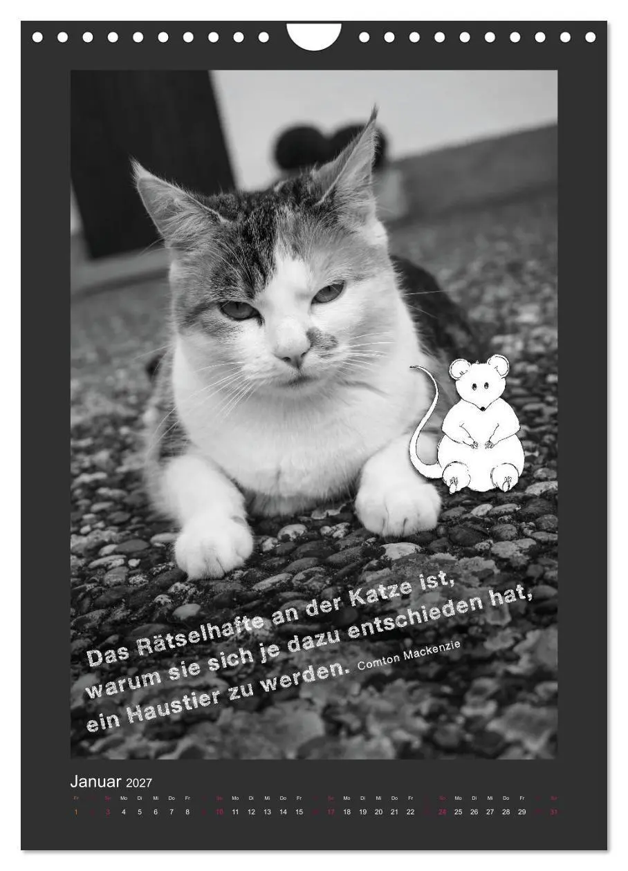 Bild: 9783594146545 | Katz &amp; Maus (Wandkalender 2027 DIN A4 hoch), CALVENDO Monatskalender