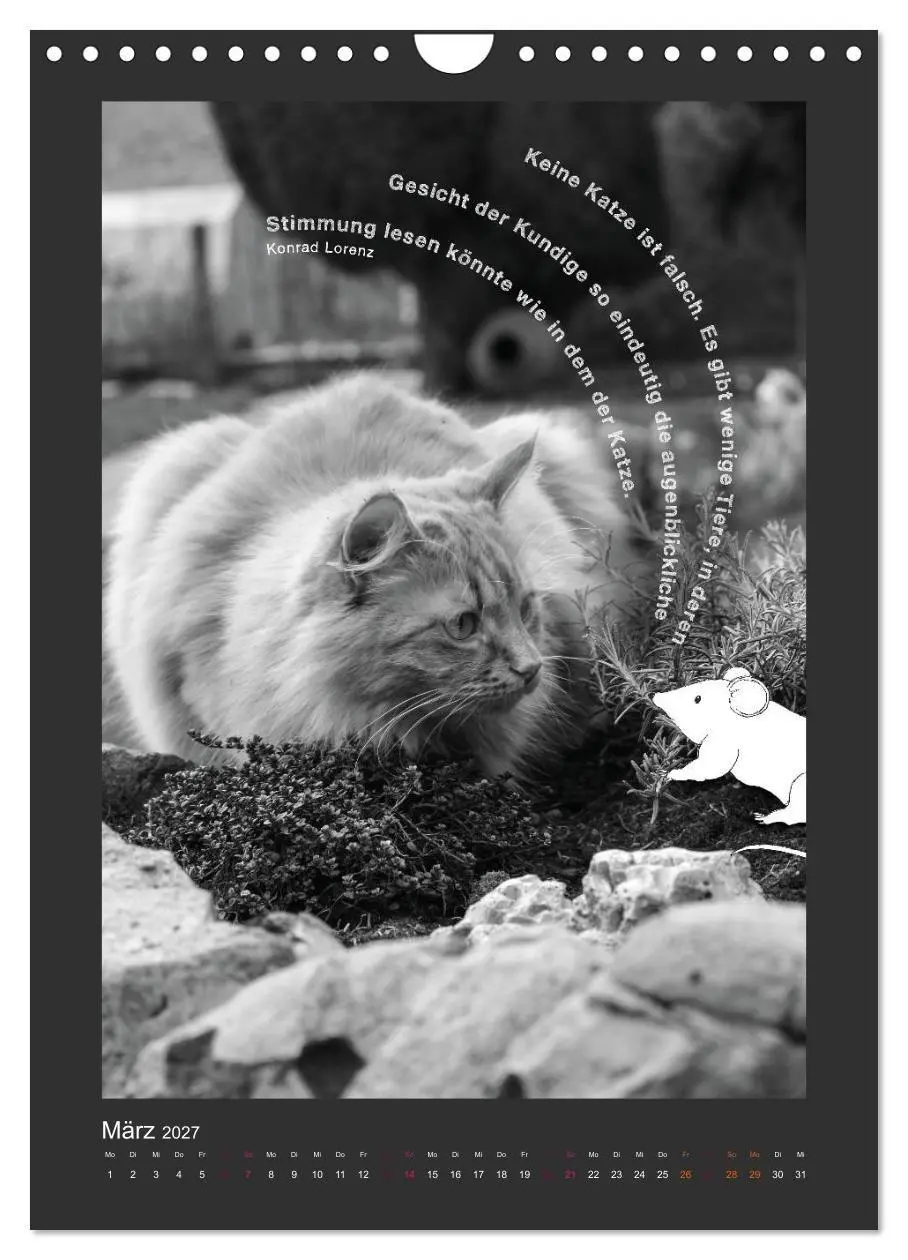 Bild: 9783594146545 | Katz &amp; Maus (Wandkalender 2027 DIN A4 hoch), CALVENDO Monatskalender