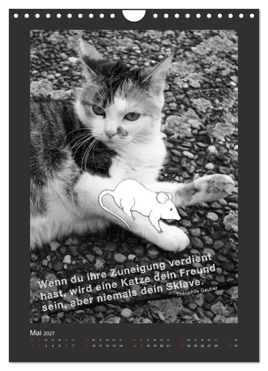 Bild: 9783594146545 | Katz &amp; Maus (Wandkalender 2027 DIN A4 hoch), CALVENDO Monatskalender