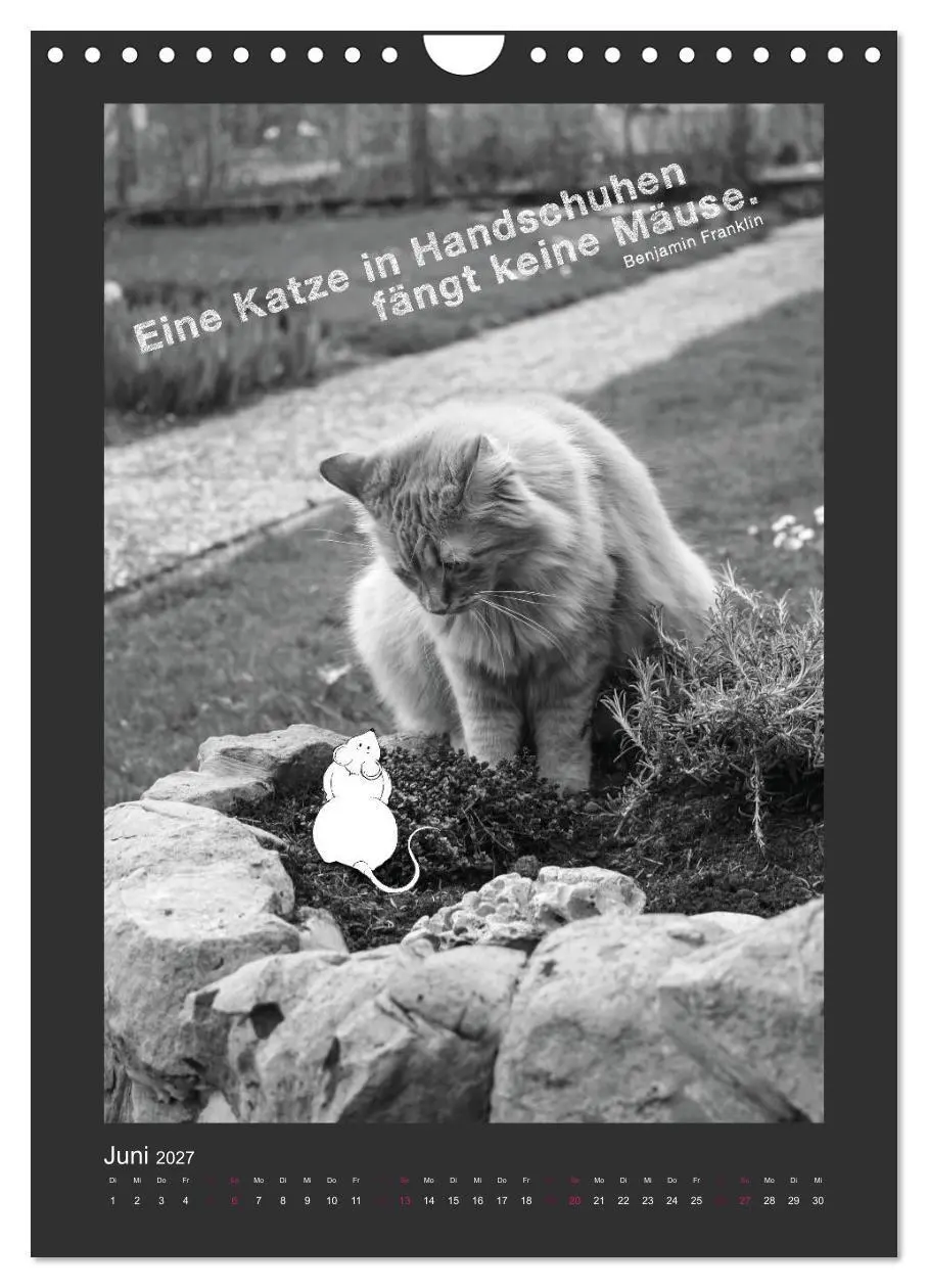 Bild: 9783594146545 | Katz &amp; Maus (Wandkalender 2027 DIN A4 hoch), CALVENDO Monatskalender