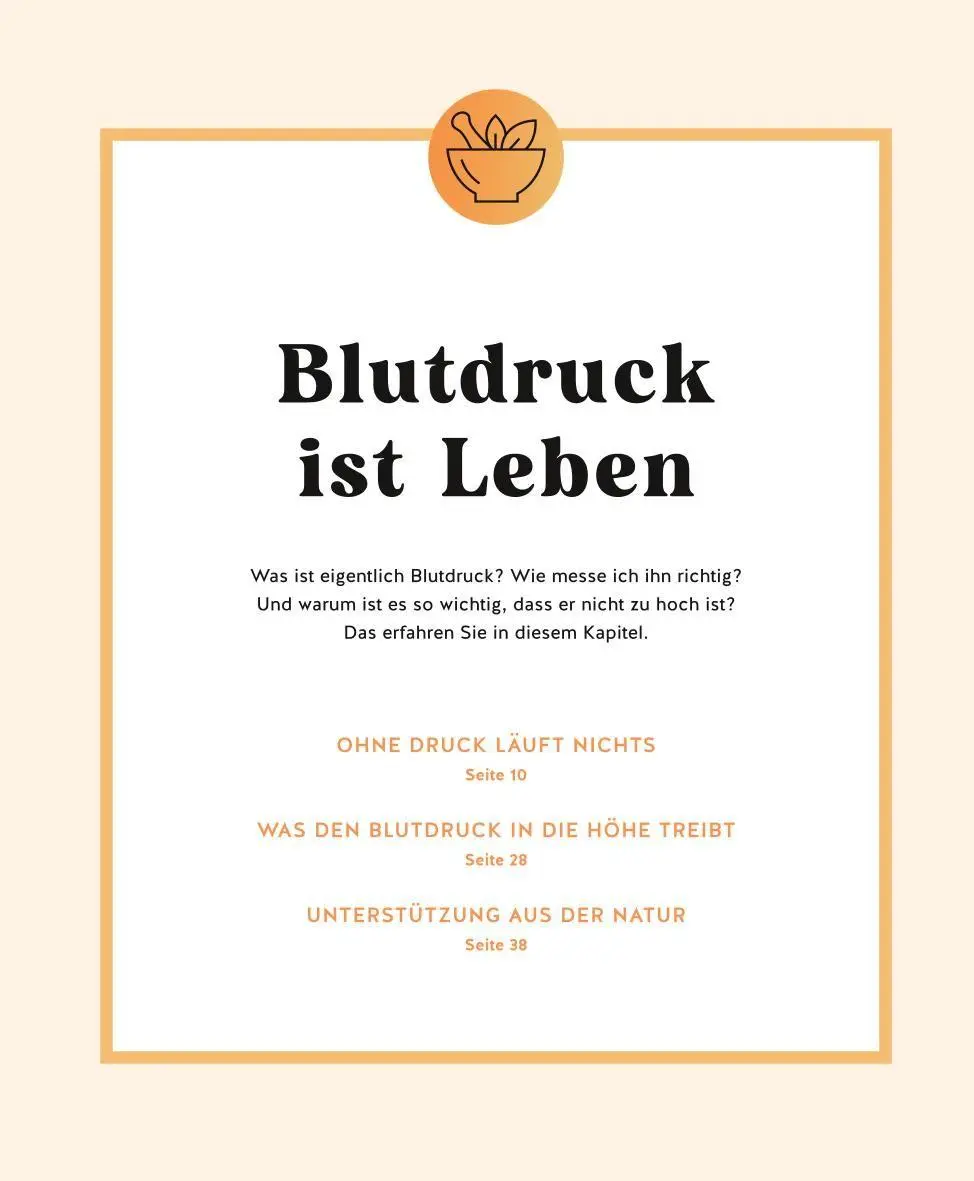 Bild: 9783833896545 | Meine Gesundheitsretter aus der Natur gegen Bluthochdruck | Rubin