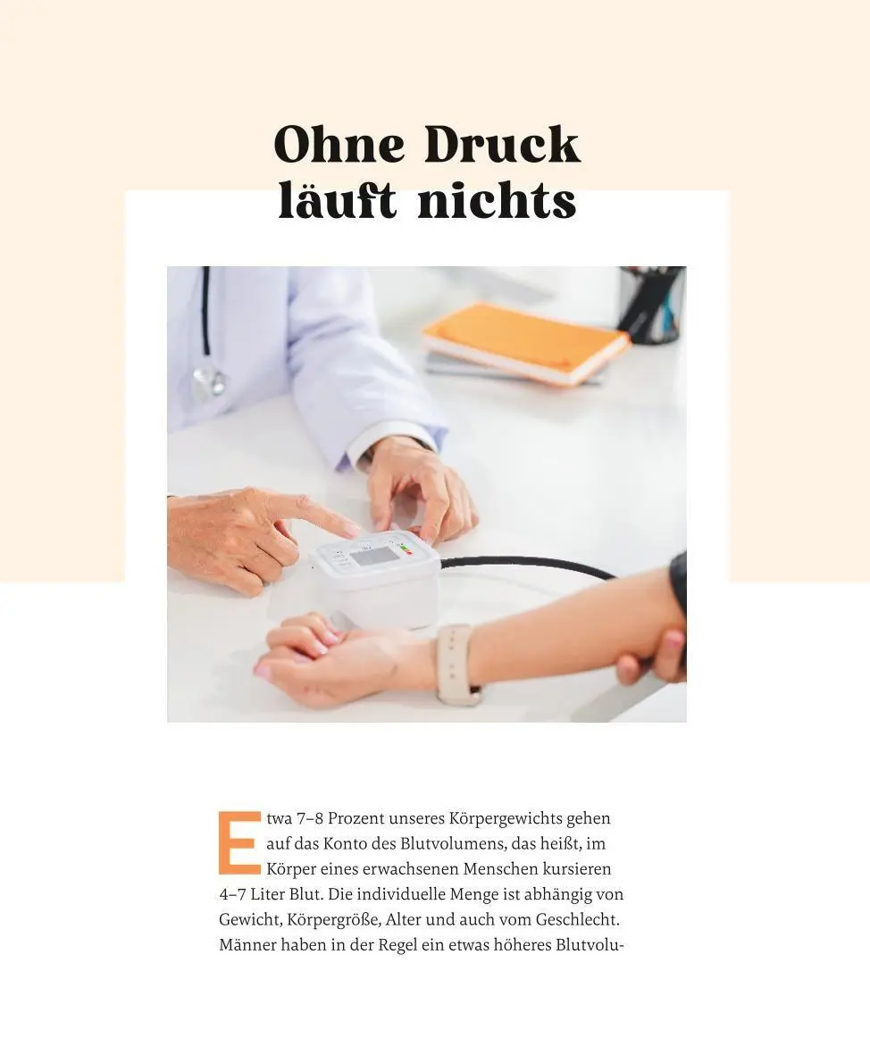 Bild: 9783833896545 | Meine Gesundheitsretter aus der Natur gegen Bluthochdruck | Rubin