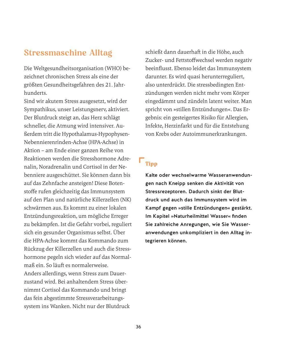 Bild: 9783833896545 | Meine Gesundheitsretter aus der Natur gegen Bluthochdruck | Rubin
