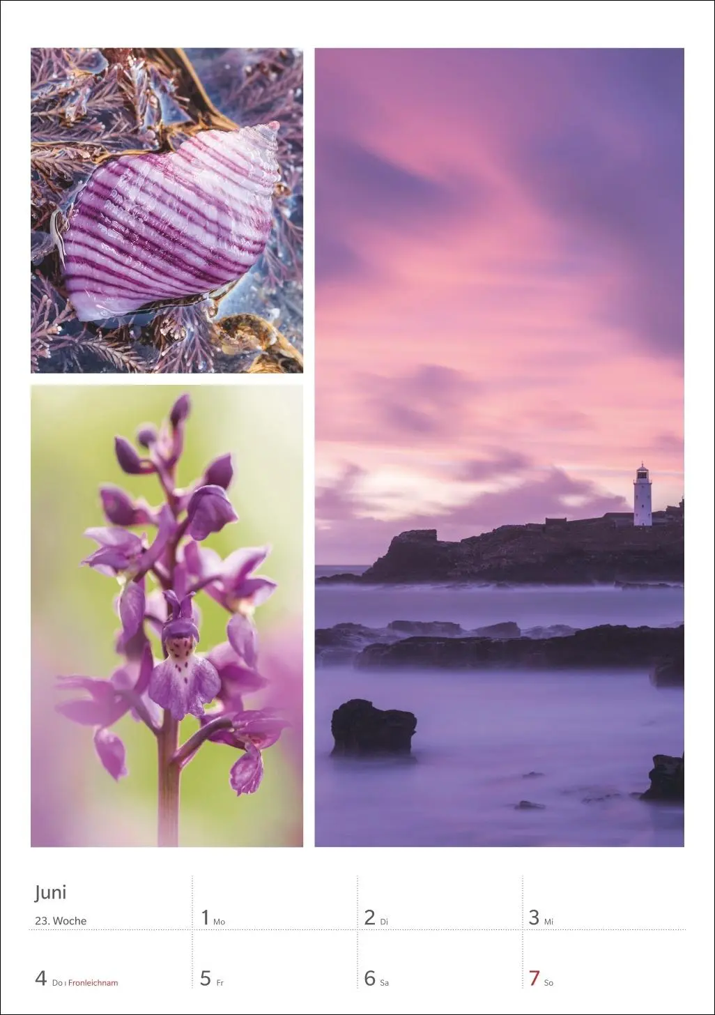 Bild: 9783840036545 | Magie der Farben Wochenplaner 2026 | Harenberg | Kalender | 54 S.