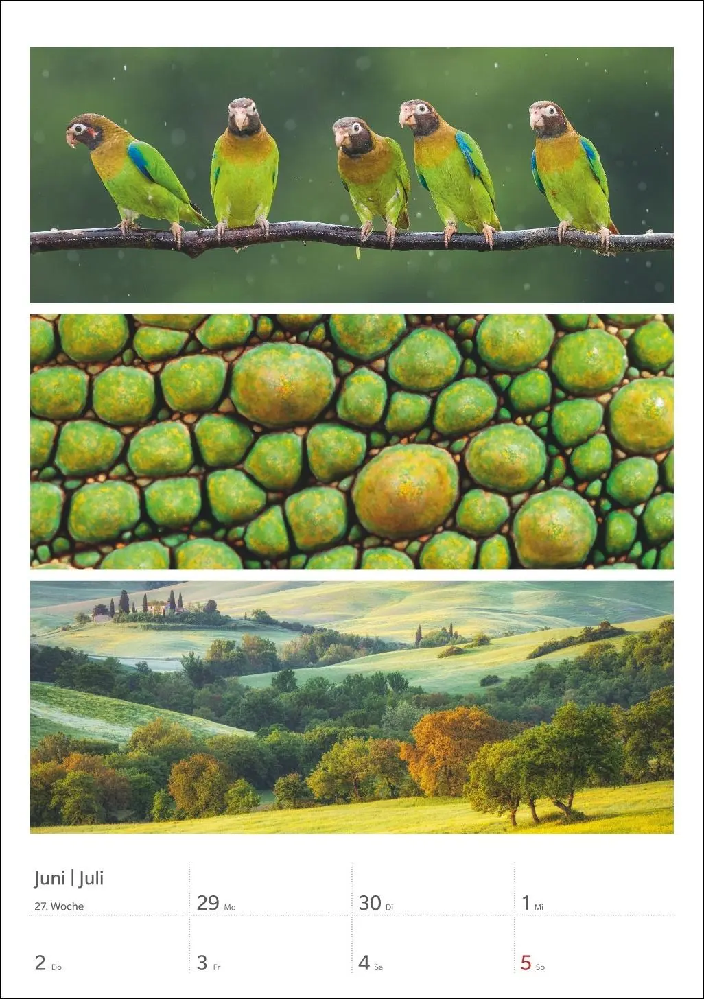 Bild: 9783840036545 | Magie der Farben Wochenplaner 2026 | Harenberg | Kalender | 54 S.
