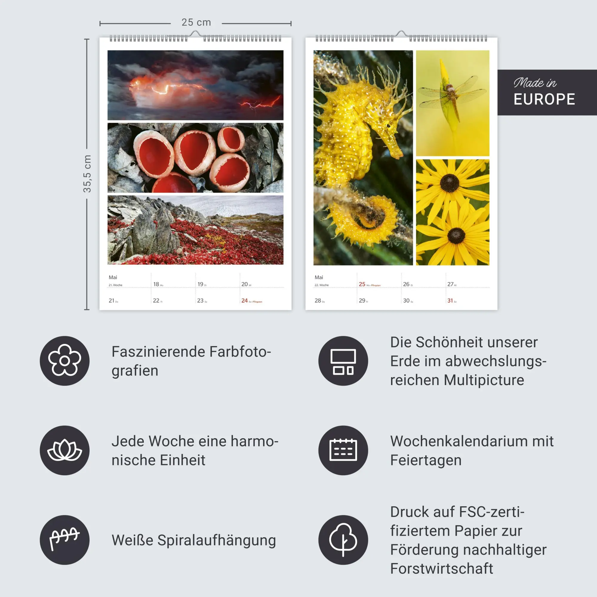 Bild: 9783840036545 | Magie der Farben Wochenplaner 2026 | Harenberg | Kalender | 54 S.