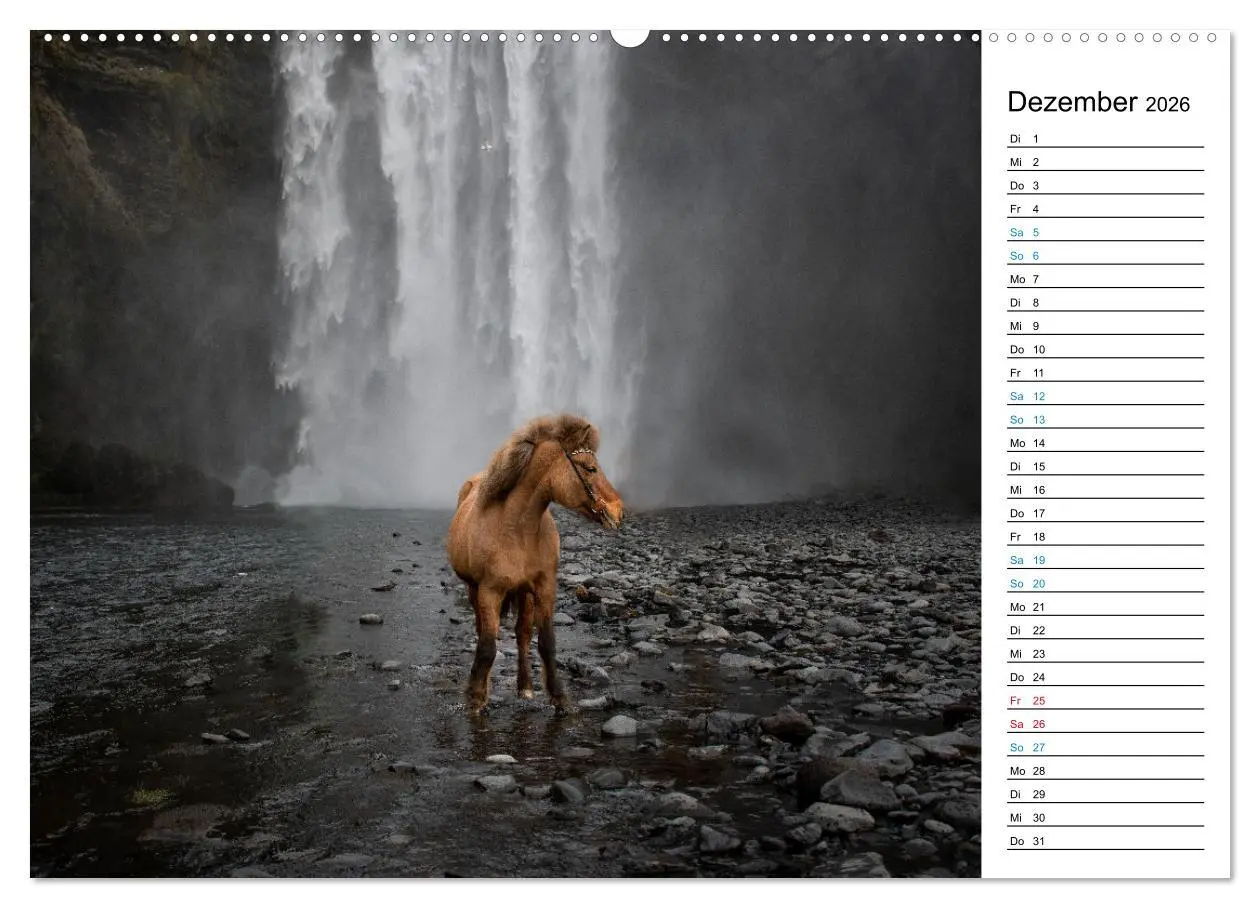 Bild: 9783457446645 | Islandpferde Kalender - Pferde von der Insel aus Feuer und Eis...