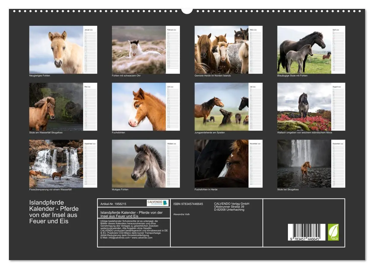 Bild: 9783457446645 | Islandpferde Kalender - Pferde von der Insel aus Feuer und Eis...