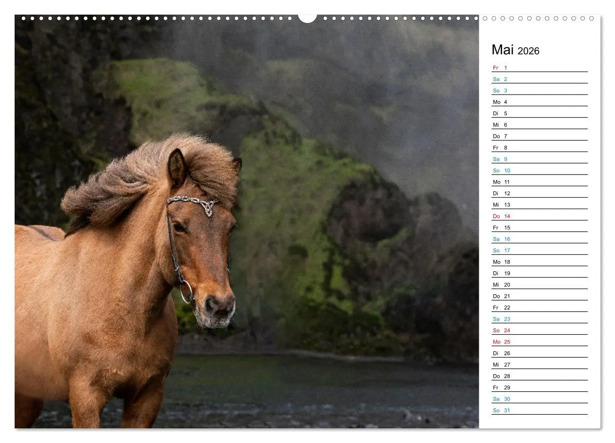 Bild: 9783457446645 | Islandpferde Kalender - Pferde von der Insel aus Feuer und Eis...