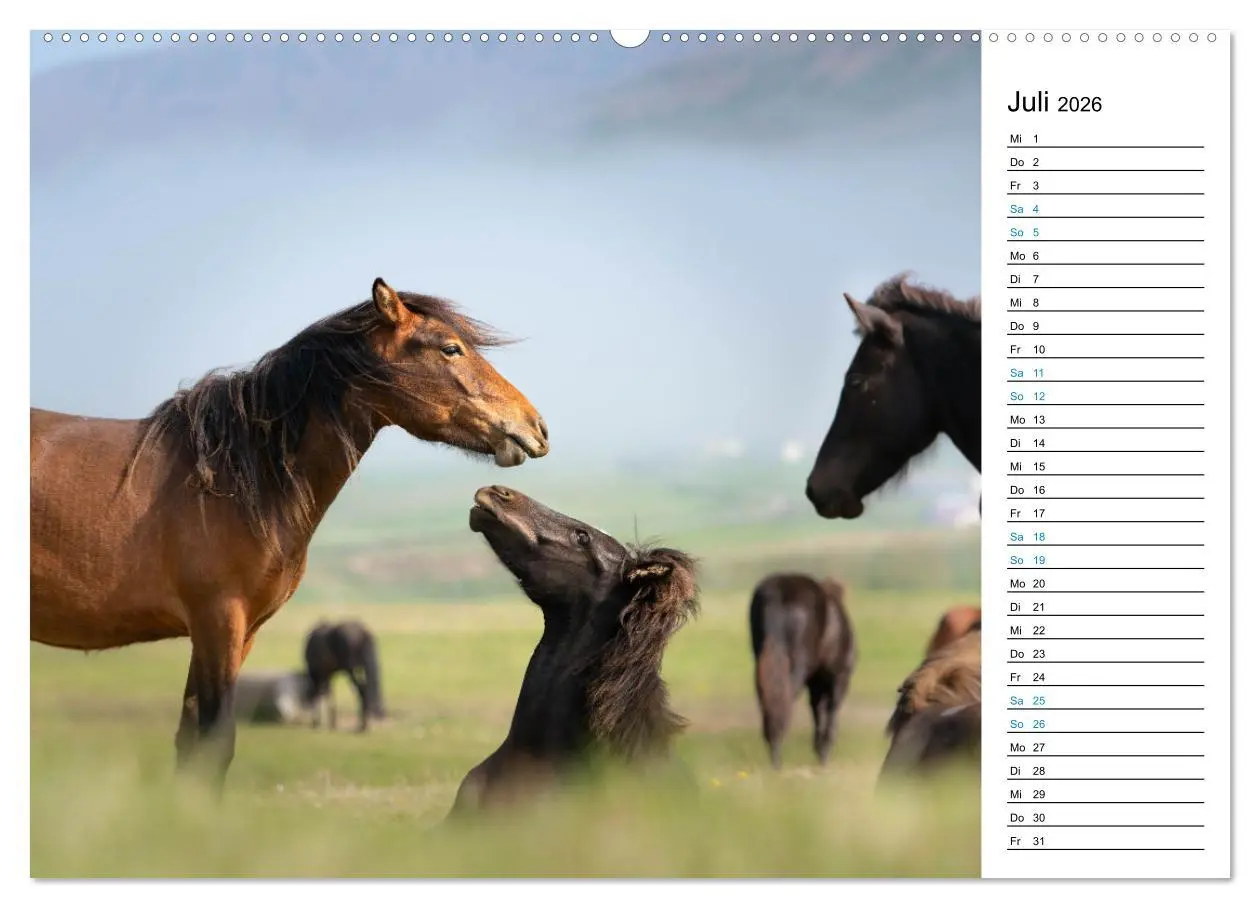 Bild: 9783457446645 | Islandpferde Kalender - Pferde von der Insel aus Feuer und Eis...