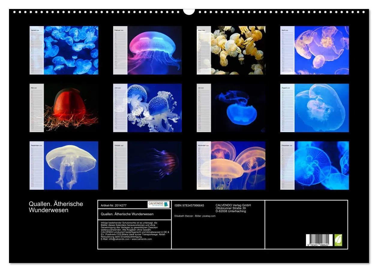Bild: 9783457996645 | Quallen. Ätherische Wunderwesen (Wandkalender 2026 DIN A2 quer),...