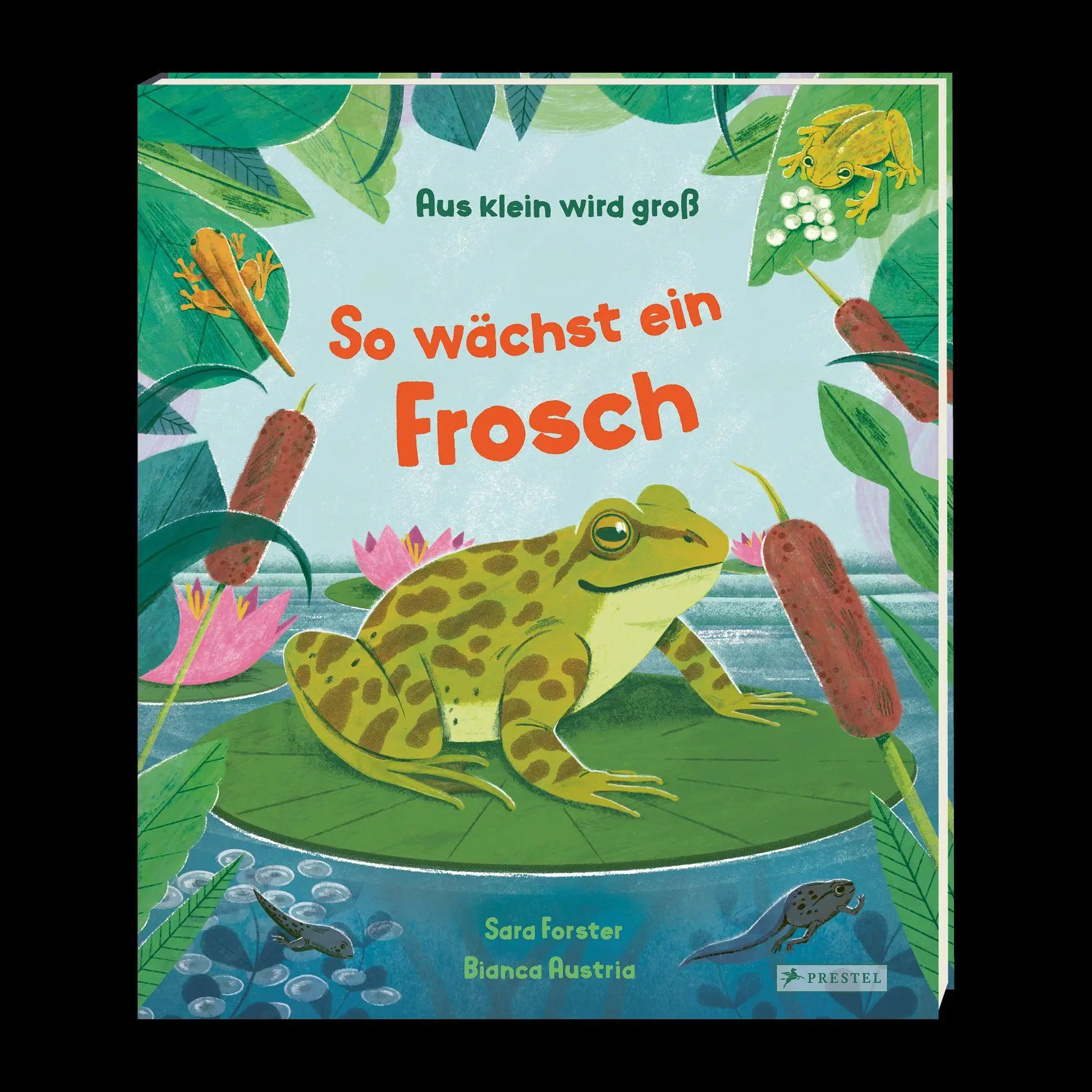 Bild: 9783791376745 | Aus klein wird groß. So wächst ein Frosch | Sara Forster (u. a.)