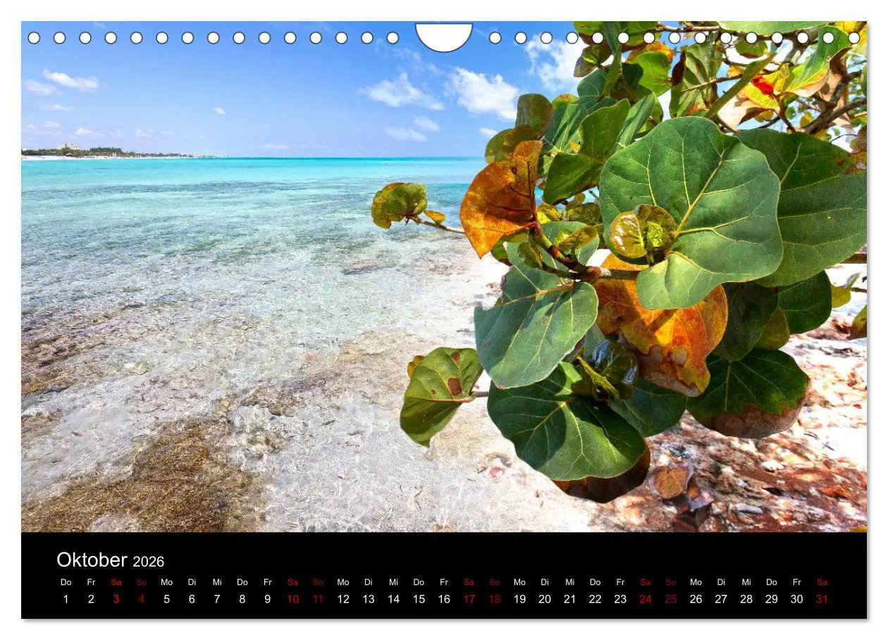 Bild: 9783457806845 | Kuba Varadero 2026 Leben im Paradies (Wandkalender 2026 DIN A4...