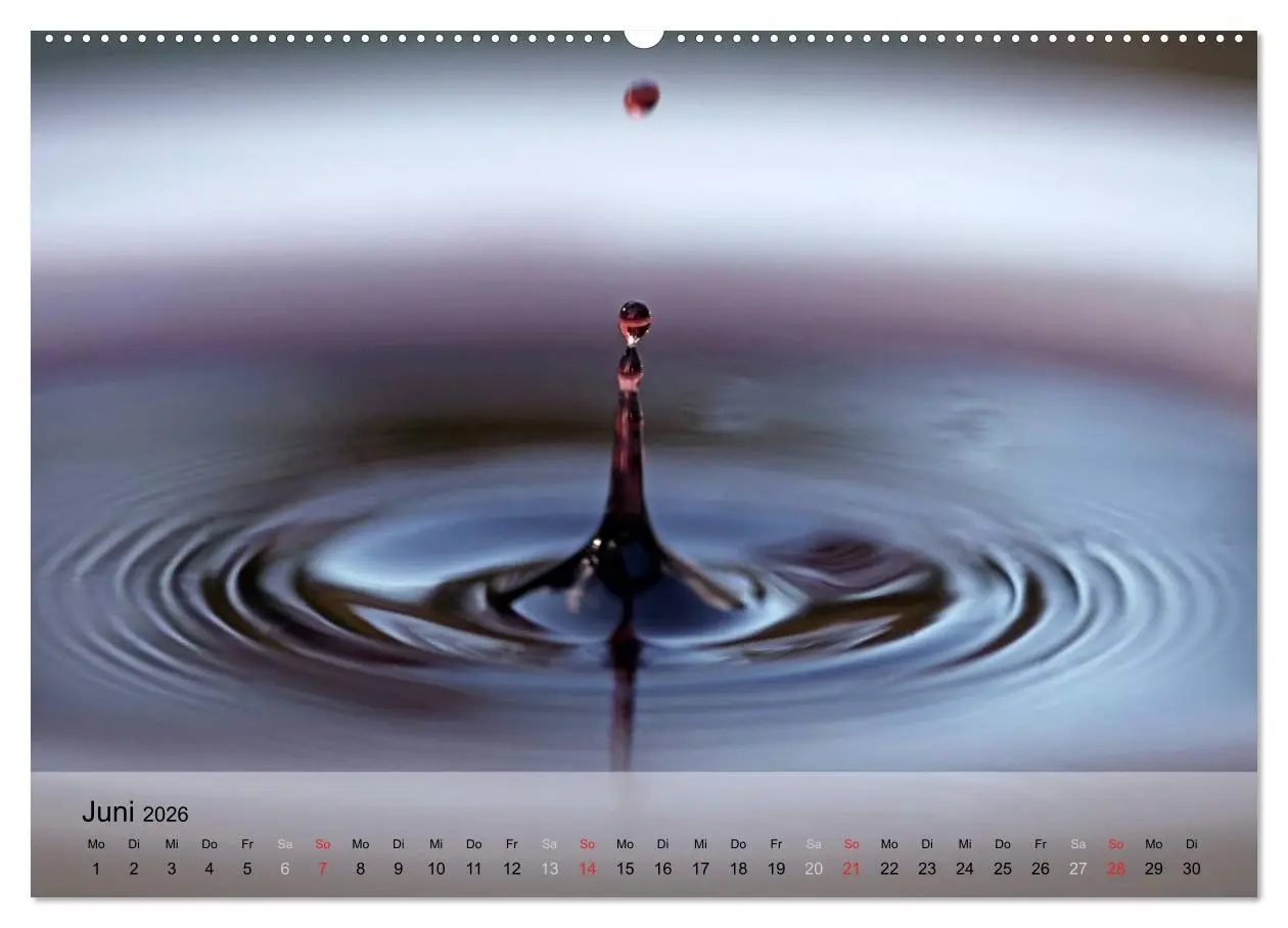Bild: 9783516206845 | Wein schmeckt fein (Wandkalender 2026 DIN A2 quer), CALVENDO...