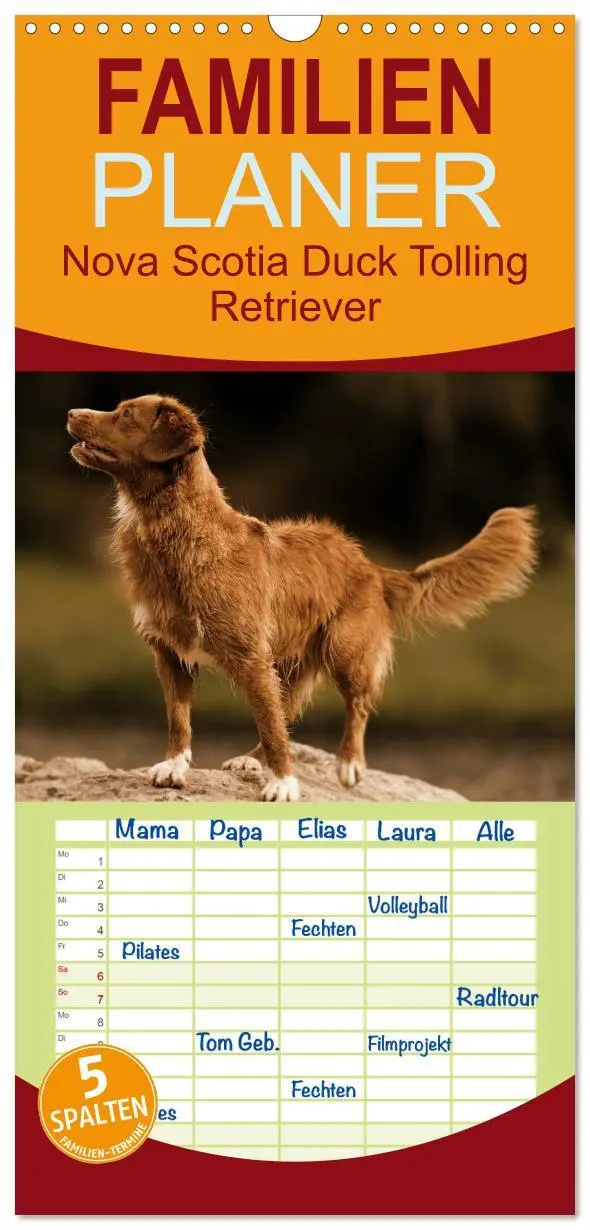 Cover: 9783516516845 | Familienplaner 2026 - Nova Scotia Duck Tolling Retriever mit 5...