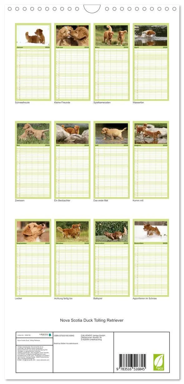 Bild: 9783516516845 | Familienplaner 2026 - Nova Scotia Duck Tolling Retriever mit 5...