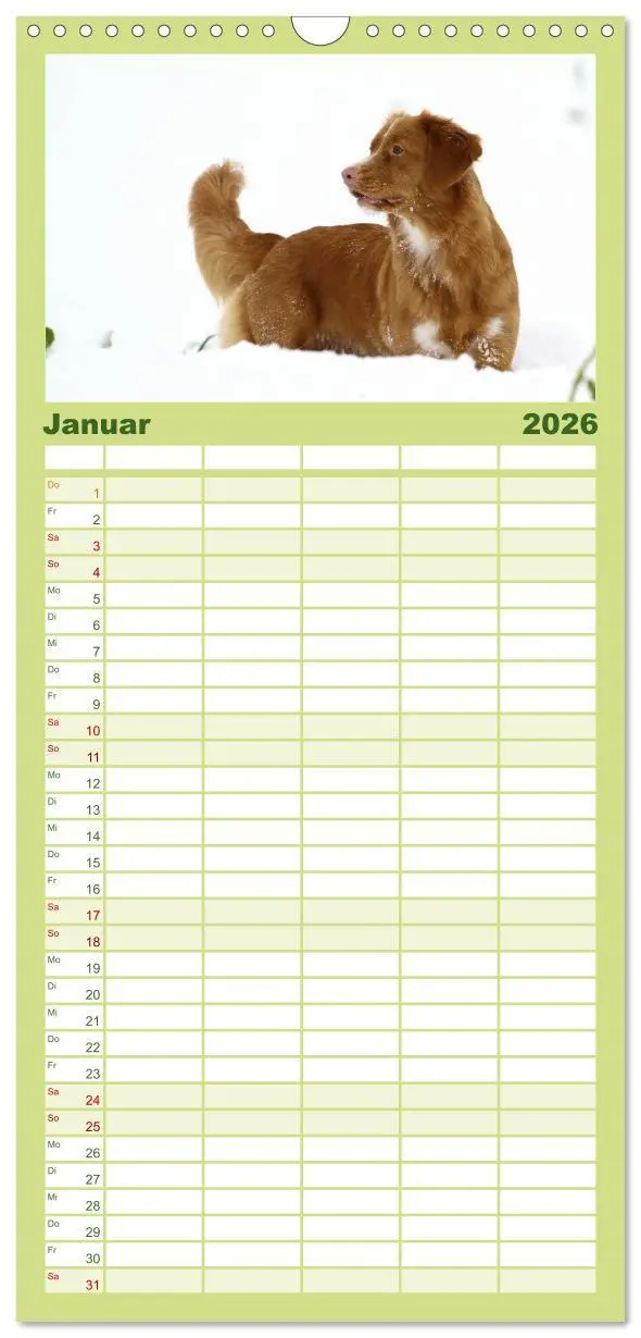 Bild: 9783516516845 | Familienplaner 2026 - Nova Scotia Duck Tolling Retriever mit 5...