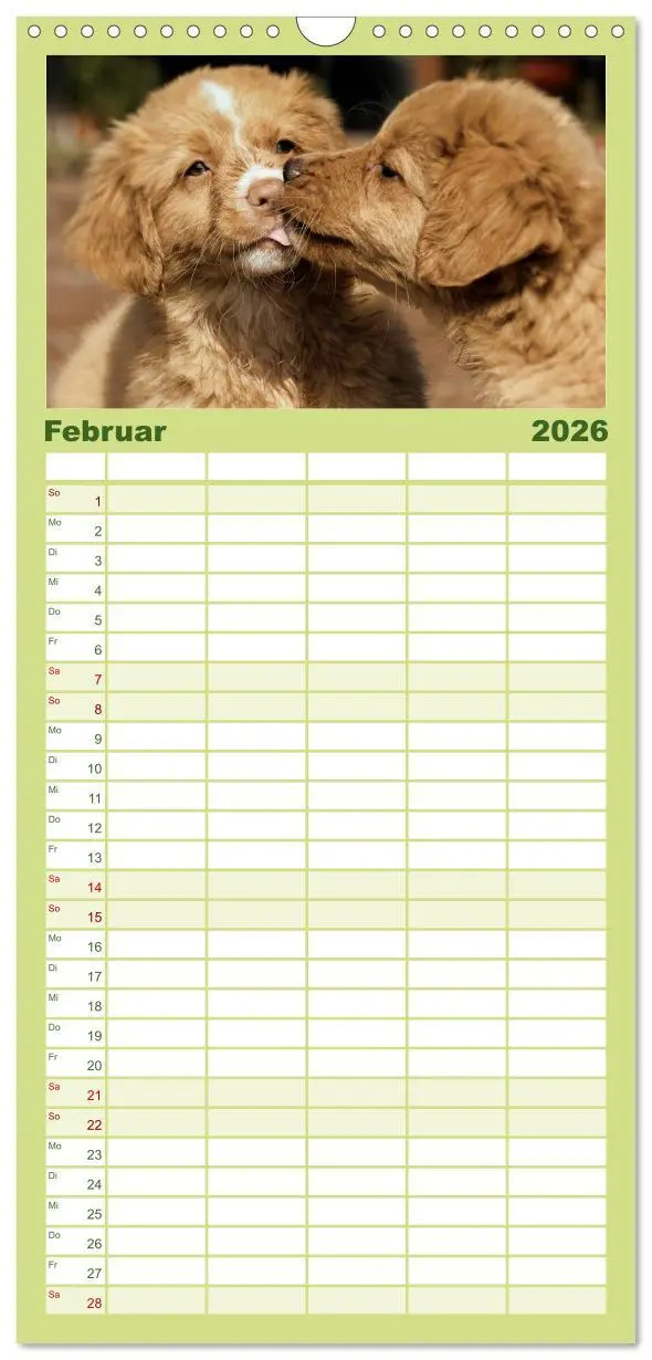 Bild: 9783516516845 | Familienplaner 2026 - Nova Scotia Duck Tolling Retriever mit 5...