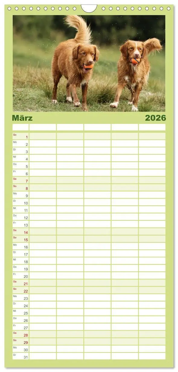 Bild: 9783516516845 | Familienplaner 2026 - Nova Scotia Duck Tolling Retriever mit 5...