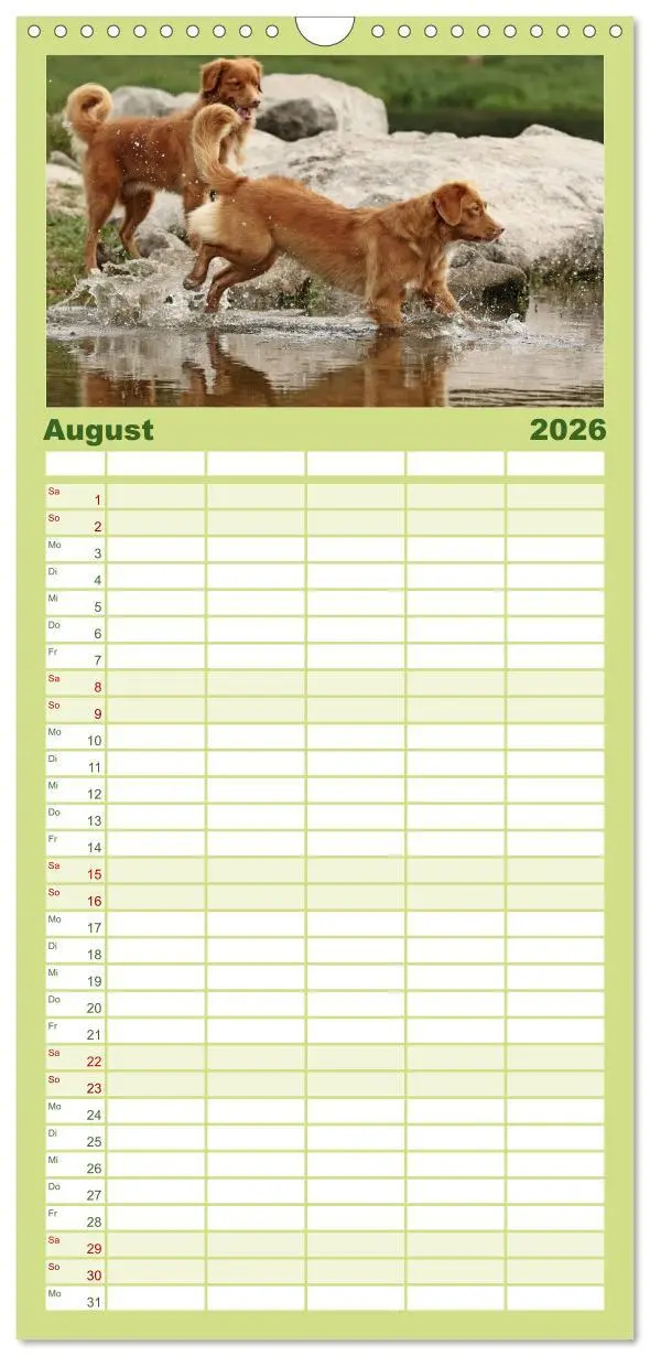 Bild: 9783516516845 | Familienplaner 2026 - Nova Scotia Duck Tolling Retriever mit 5...