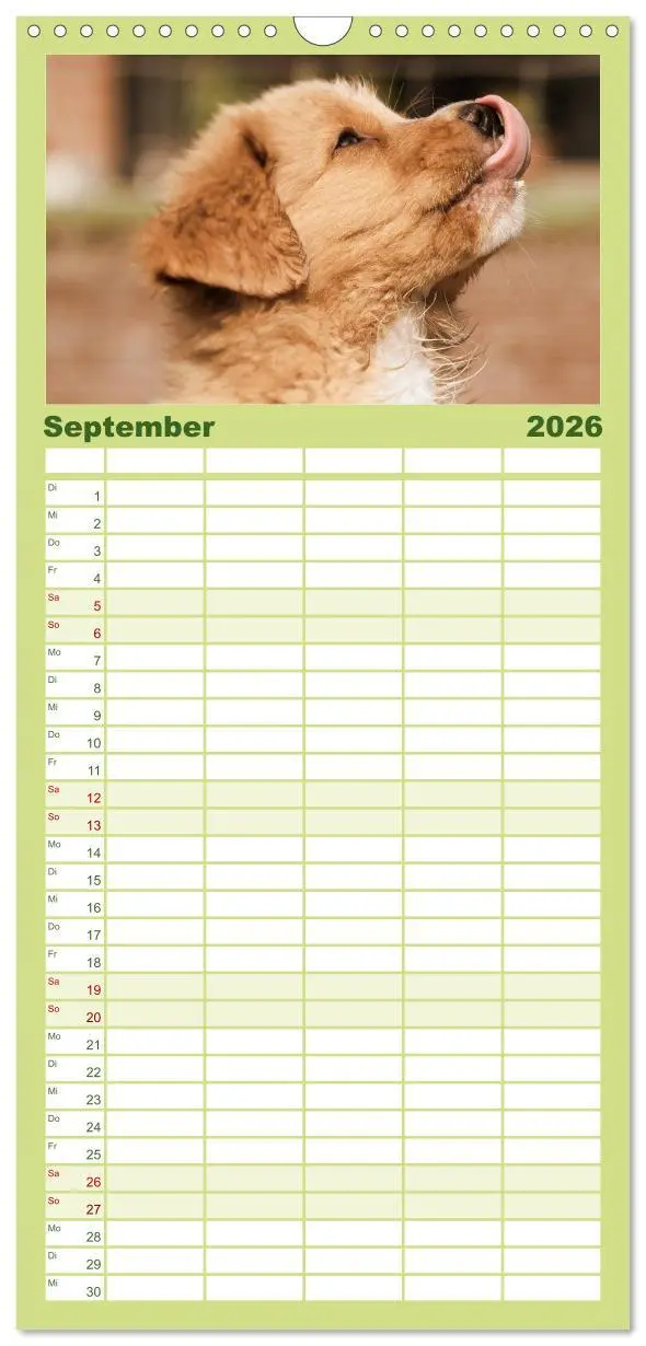 Bild: 9783516516845 | Familienplaner 2026 - Nova Scotia Duck Tolling Retriever mit 5...