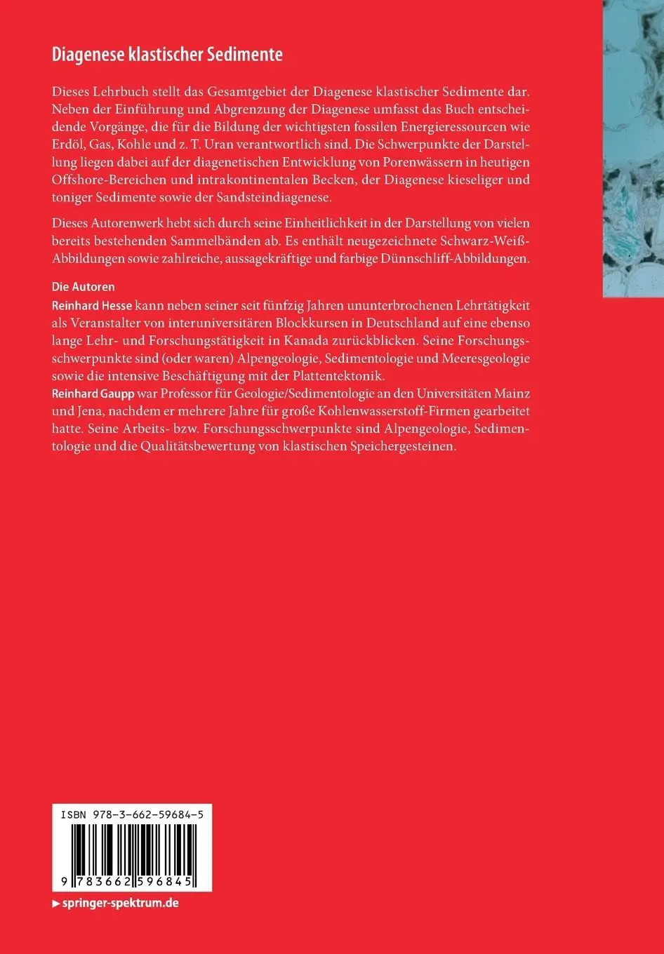Rückseite: 9783662596845 | Diagenese klastischer Sedimente | Reinhard Gaupp (u. a.) | Taschenbuch
