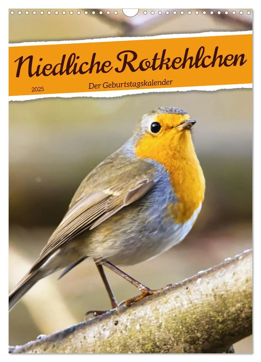 Cover: 9783435876945 | Niedliche Rotkehlchen (Wandkalender 2025 DIN A3 hoch), CALVENDO...