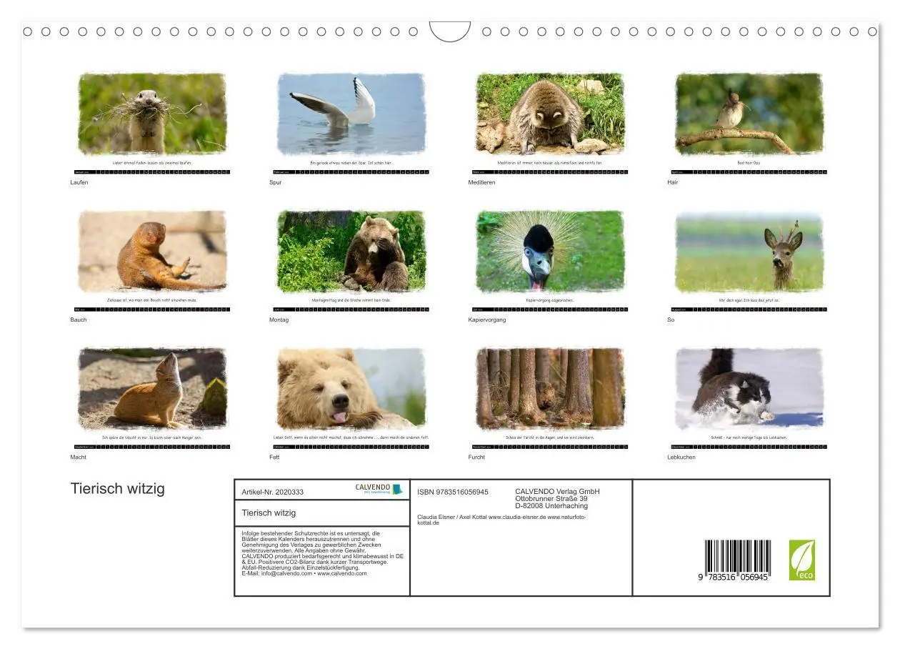 Bild: 9783516056945 | Tierisch witzig (Wandkalender 2026 DIN A3 quer), CALVENDO...