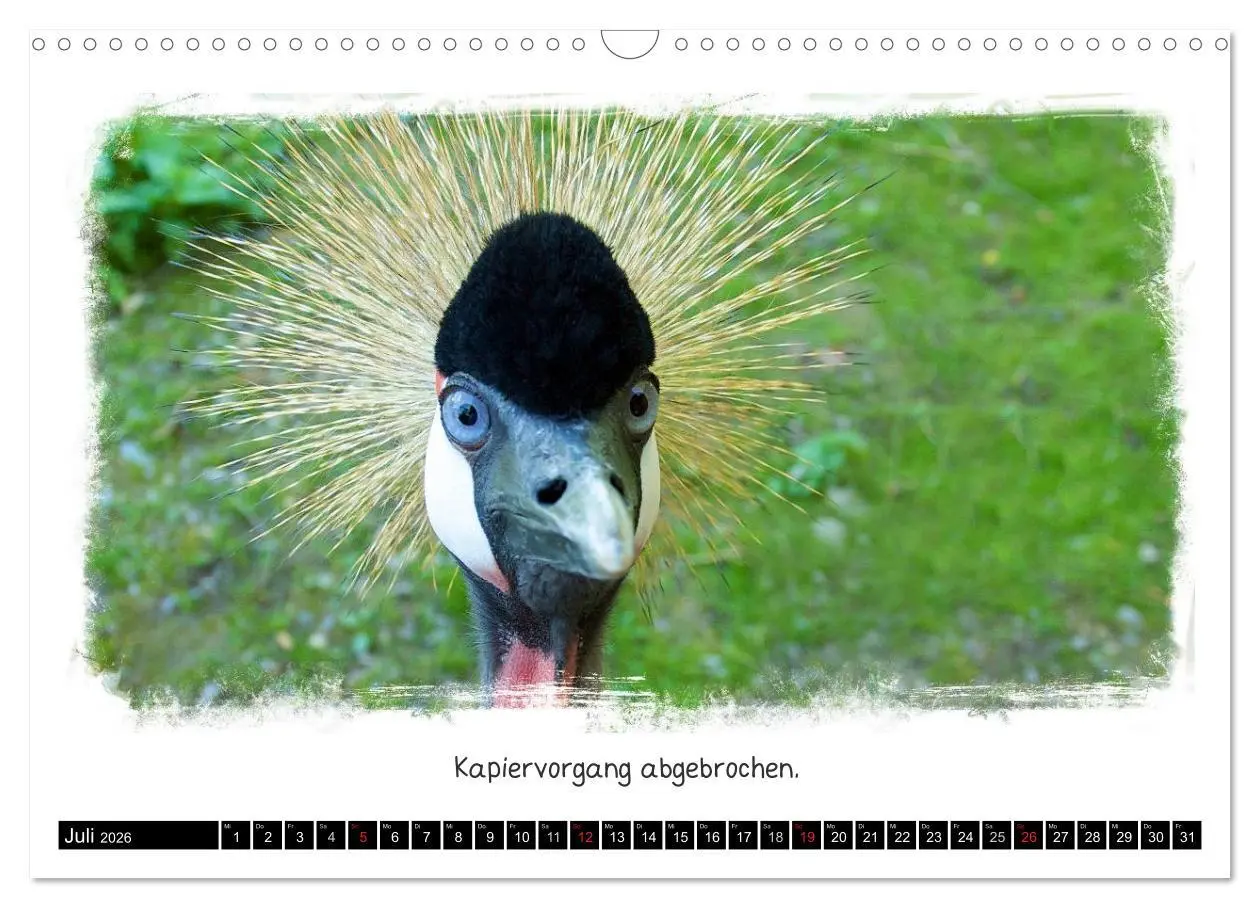 Bild: 9783516056945 | Tierisch witzig (Wandkalender 2026 DIN A3 quer), CALVENDO...