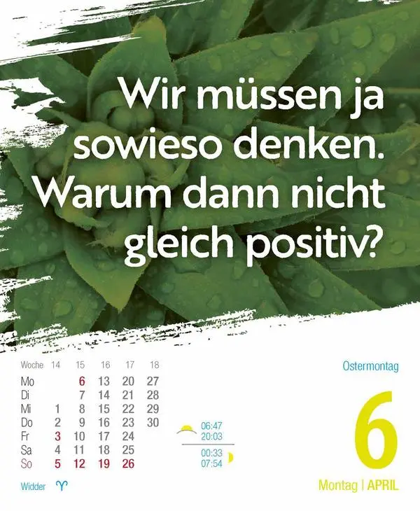 Bild: 9783731886945 | Glückskalender 2026 | Verlag Korsch | Kalender | 328 S. | Deutsch