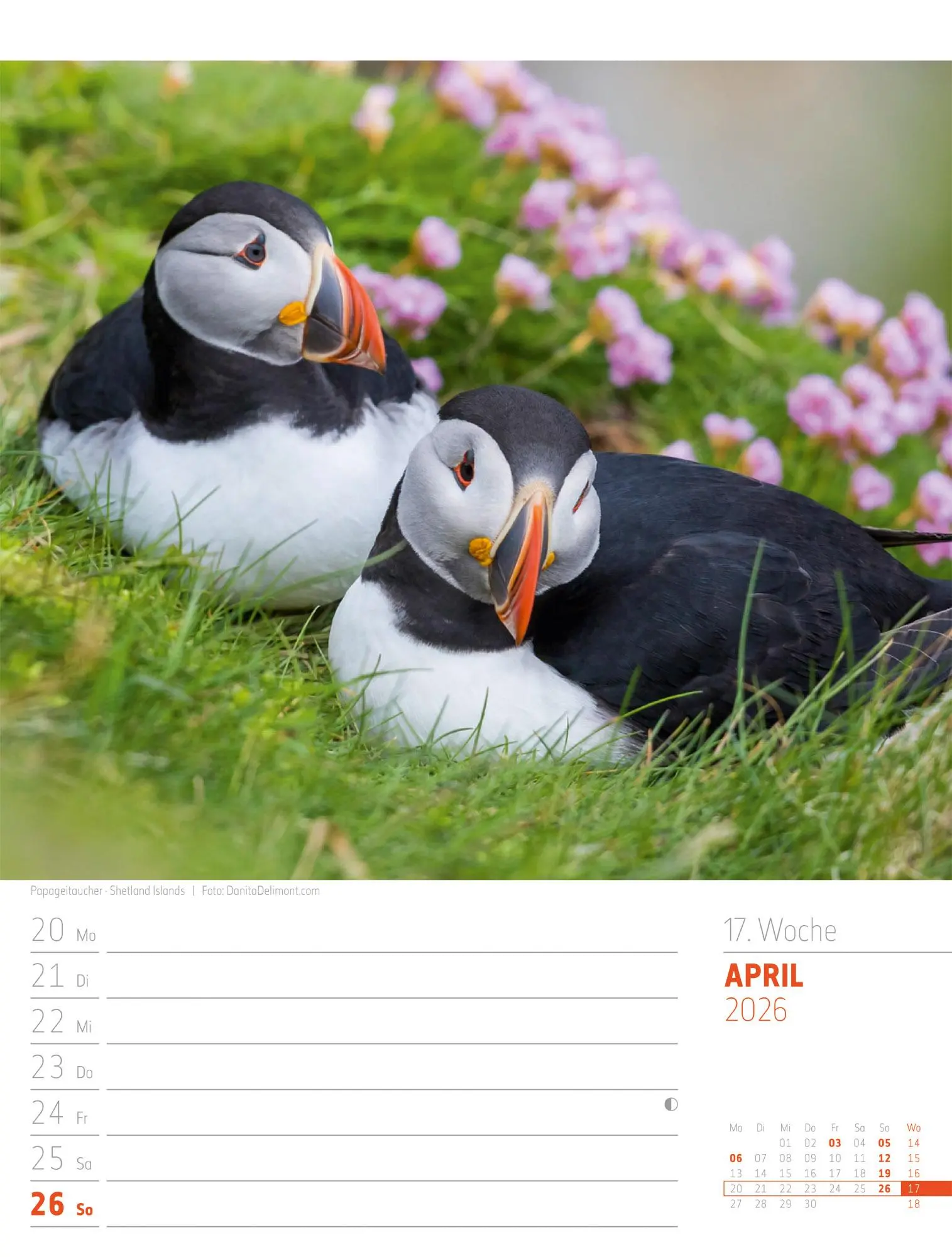 Bild: 9783838426945 | Schottland - Zwischen Highlands und Hebriden - Wochenplaner...