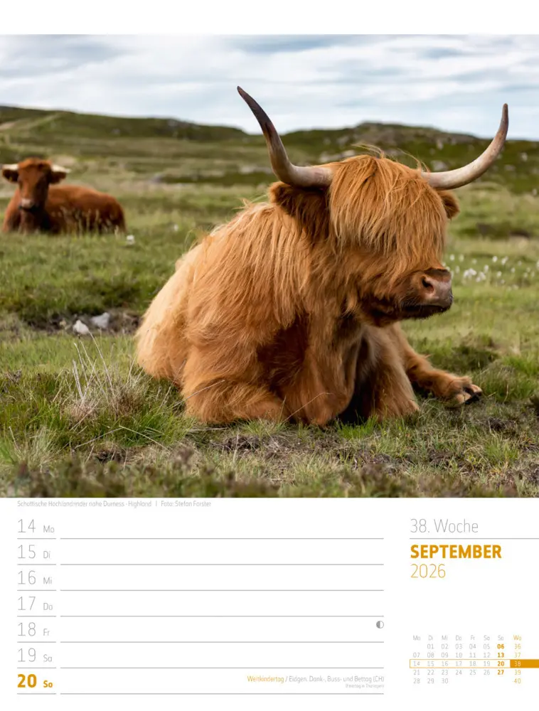 Bild: 9783838426945 | Schottland Wochenplaner Kalender 2026 Zwischen Highlands und Hebriden