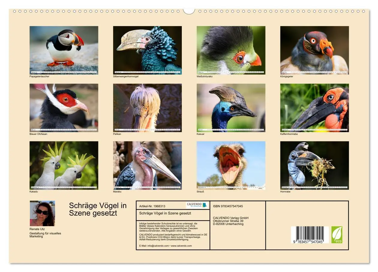 Bild: 9783457547045 | Schräge Vögel in Szene gesetzt (hochwertiger Premium Wandkalender...